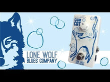 Load and play video in Gallery viewer, Clean Cat